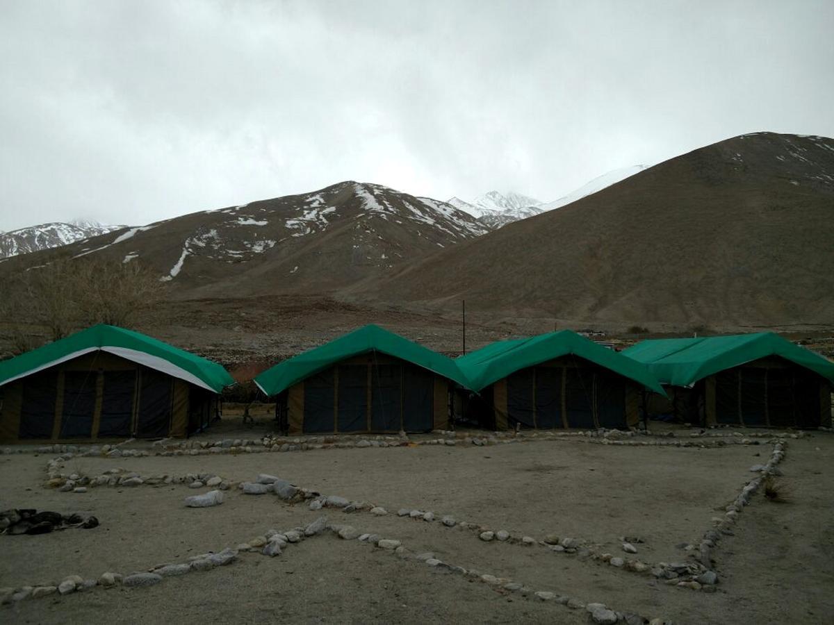 Pangong Delight Camps And Cottages Spangmik Eksteriør bilde