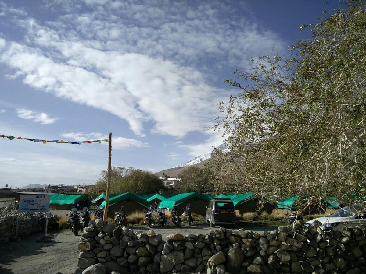 Pangong Delight Camps And Cottages Spangmik Eksteriør bilde