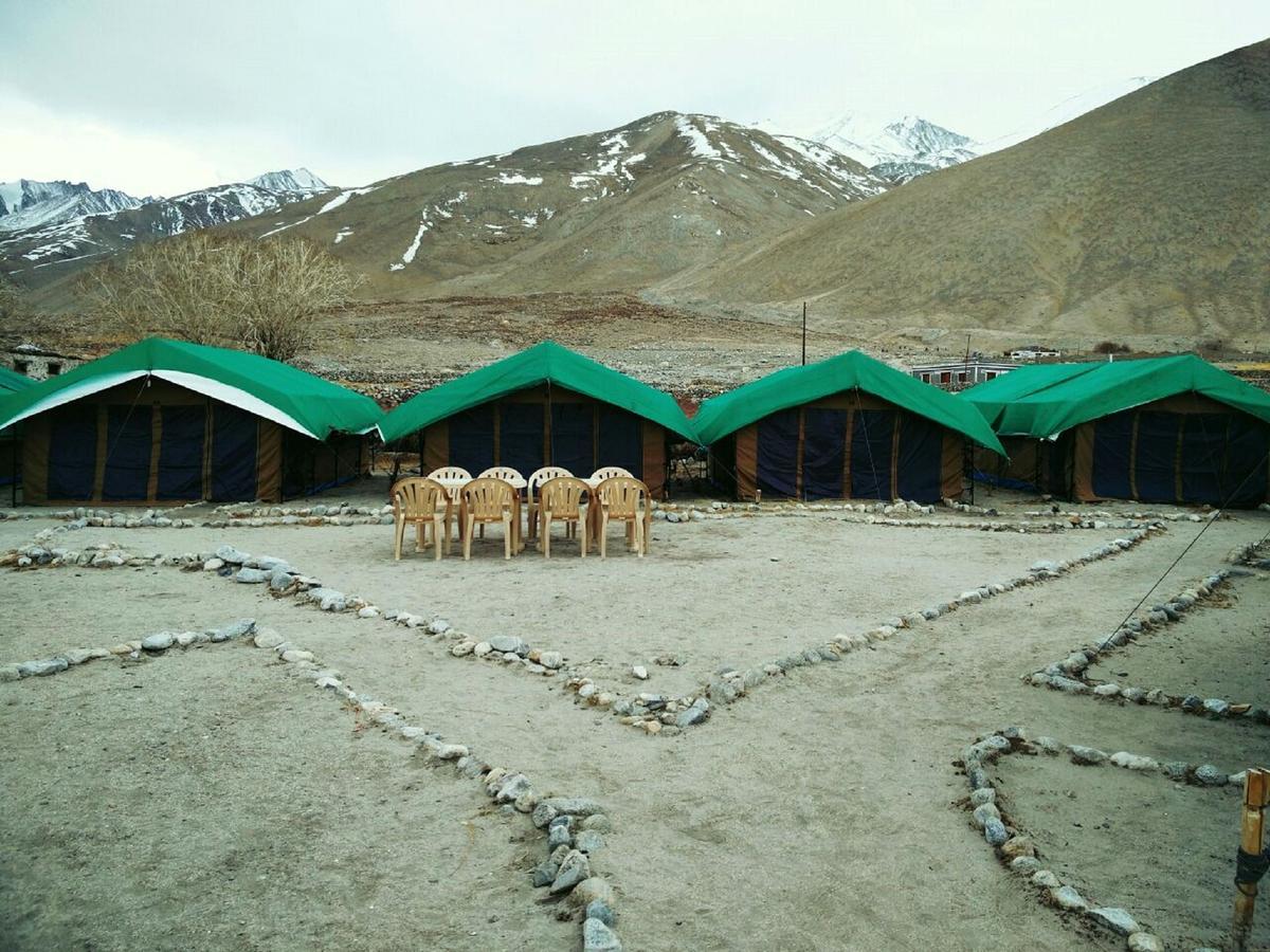 Pangong Delight Camps And Cottages Spangmik Eksteriør bilde