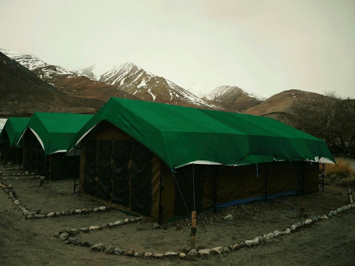 Pangong Delight Camps And Cottages Spangmik Eksteriør bilde