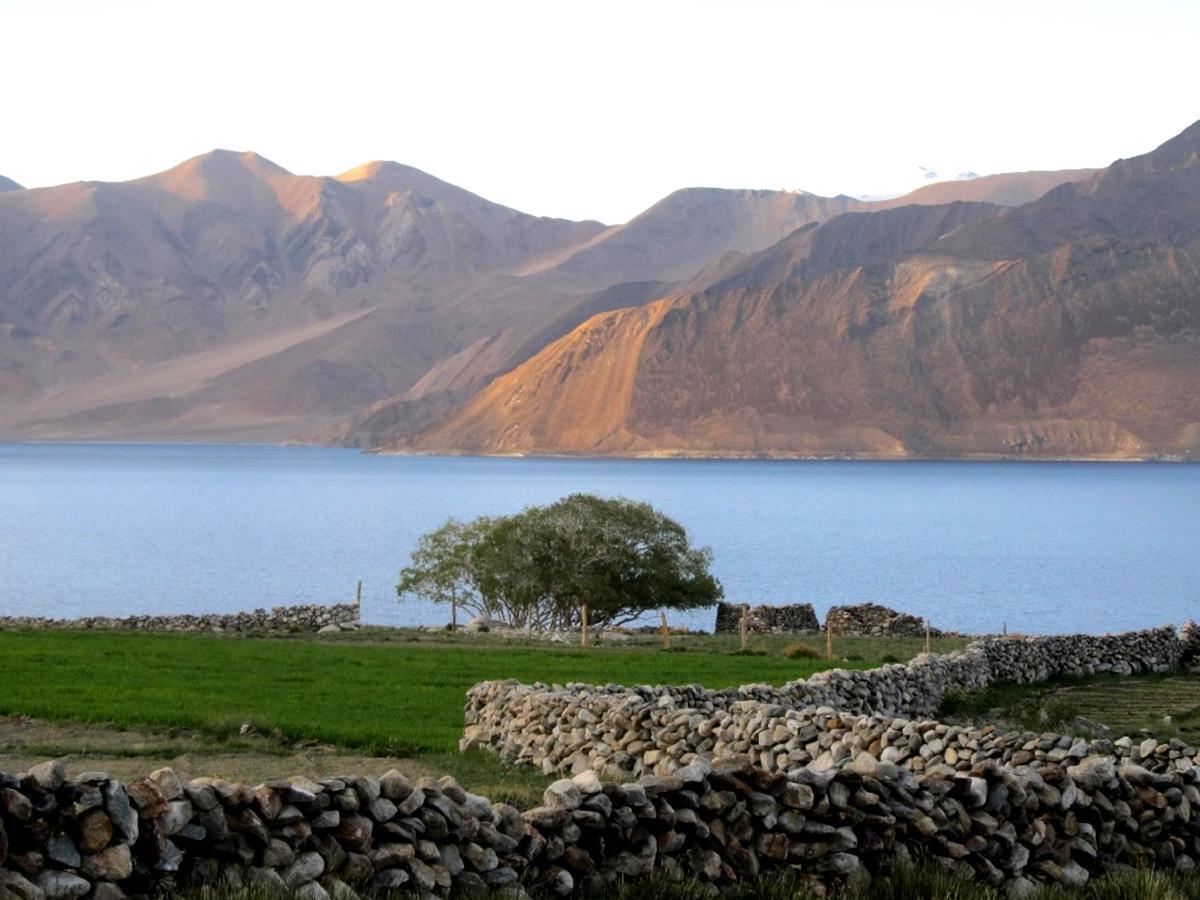 Pangong Delight Camps And Cottages Spangmik Eksteriør bilde