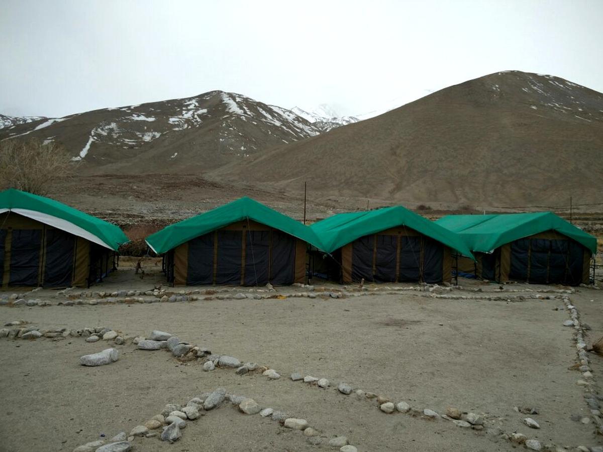 Pangong Delight Camps And Cottages Spangmik Eksteriør bilde